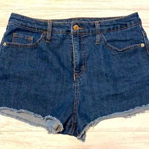 SOLD ✨Wild Fable High Rise Shorts✨